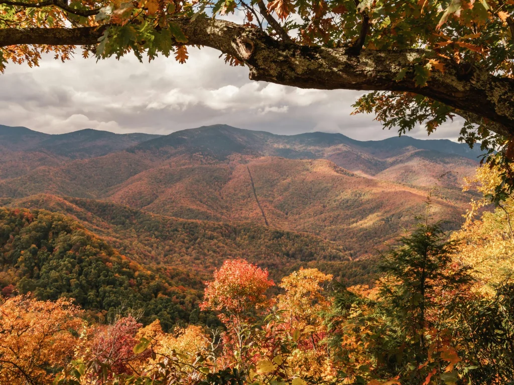 Asheville Mountains