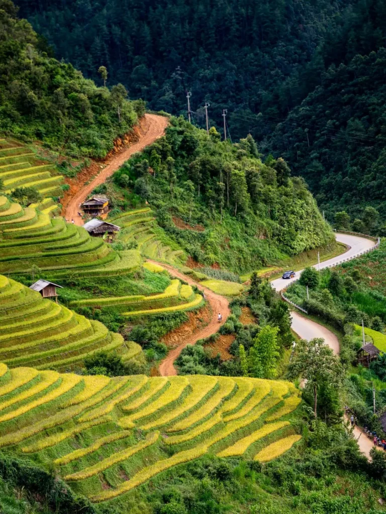 visit Vietnam