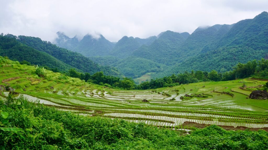 visit vietnam
